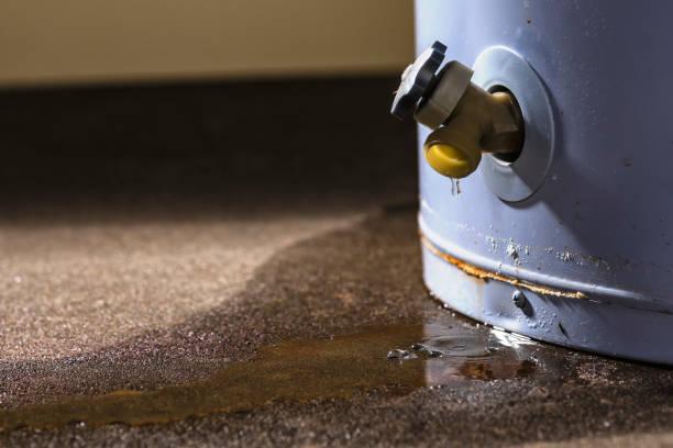 Best Basement water damage restoration  in Cambridge, MA
