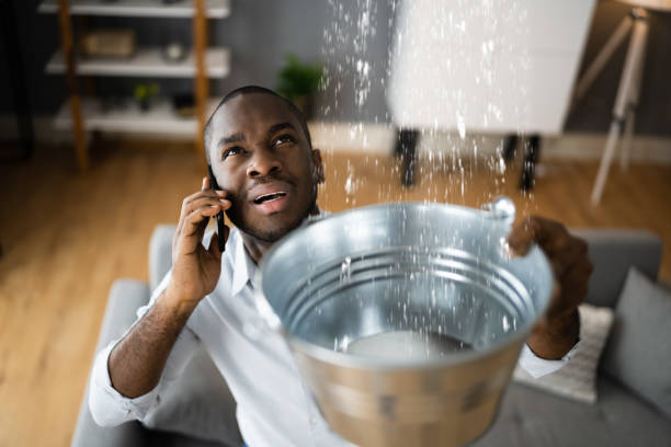 Best Flooded house restoration  in Cambridge, MA