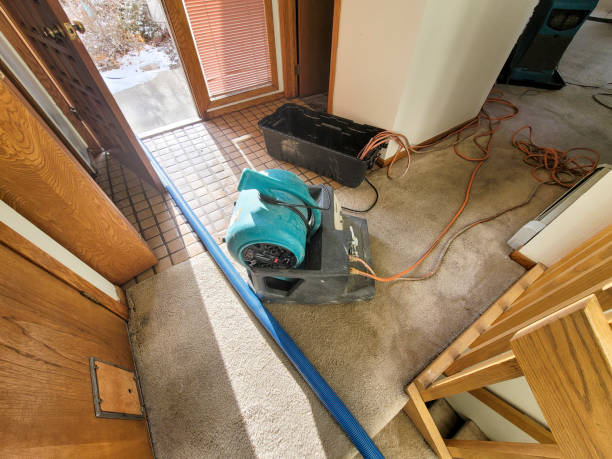 Best Fire Damage Restoration  in Cambridge, MA