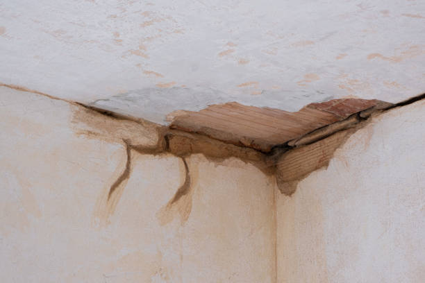 Best Flood restoration services  in Cambridge, MA