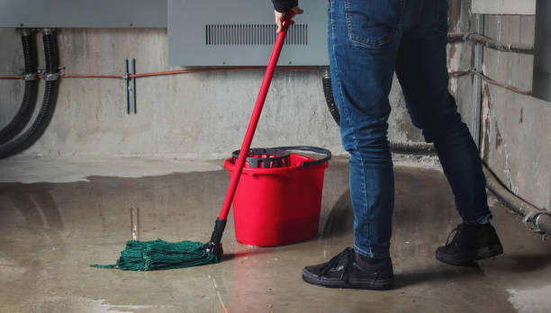 Best Water damage repair service  in Cambridge, MA