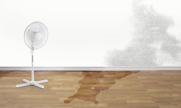 Best Fire Damage Restoration  in Cambridge, MA