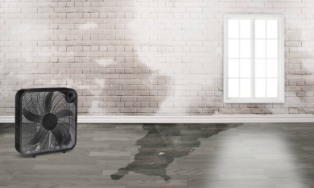 Best Water damage restoration near me  in Cambridge, MA
