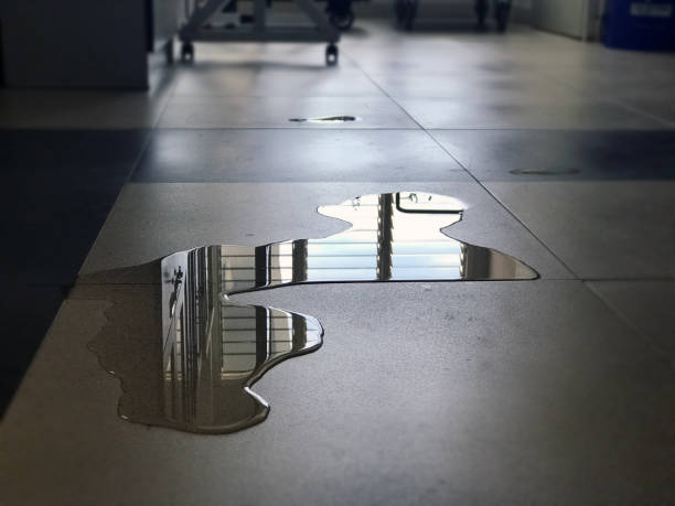 Best Water damage restoration near me  in Cambridge, MA