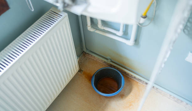 Best Carpet water damage restoration  in Cambridge, MA