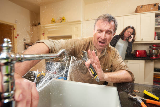Best Water damage restoration insurance claims  in Cambridge, MA
